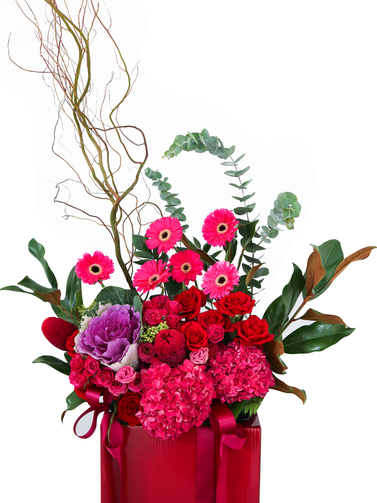 Congratulatory – Mirage Flowers